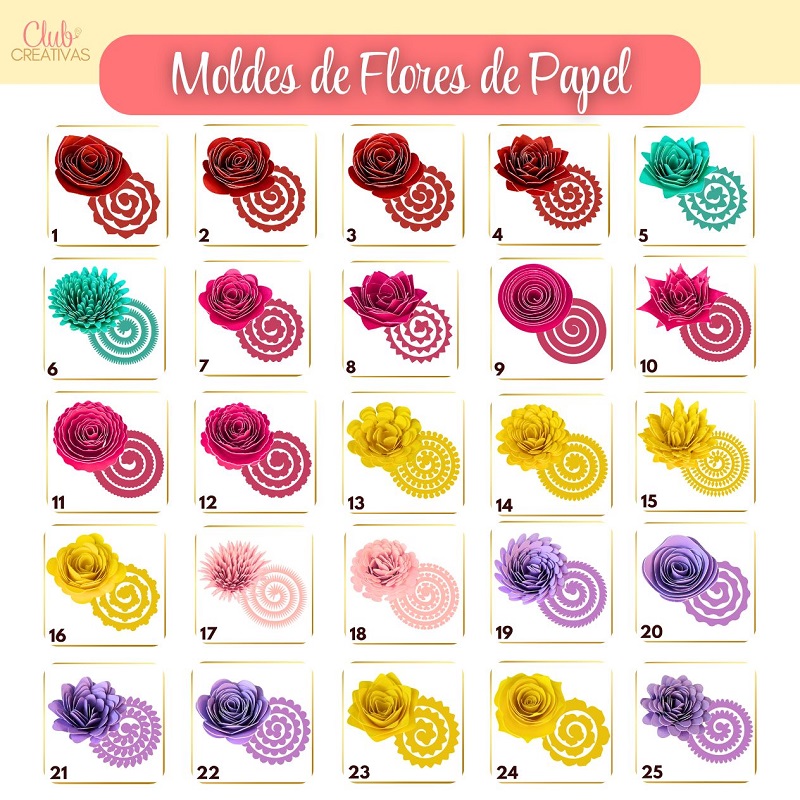 Pack Digital-Moldes Flores Papel-25 moldes-800-jpg descargar 25 moldes de flores de papel png cricut cameo